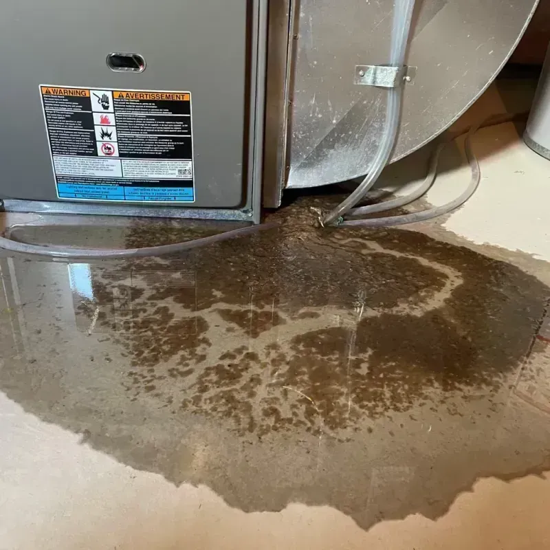 Appliance Leak Cleanup in Westmont, CA